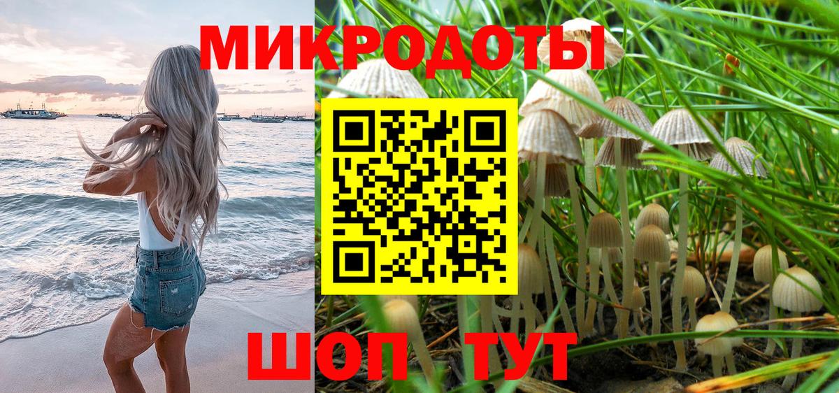 Псилоцибиновые грибы Psilocybe Бутурлиновка