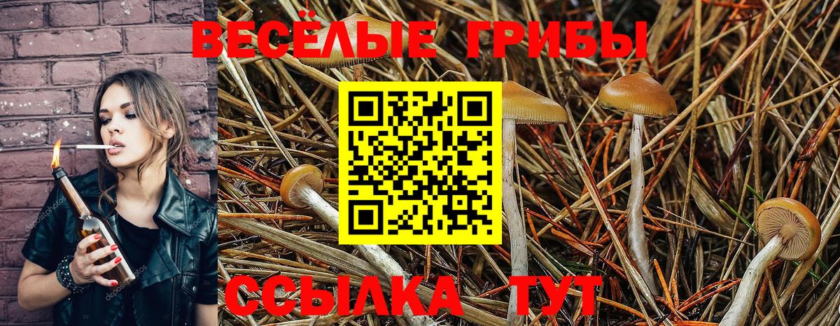 Псилоцибиновые грибы мухоморы  Вход с VPN  Бутурлиновка  закладки  Галлюциногенные грибы Magic Shrooms 